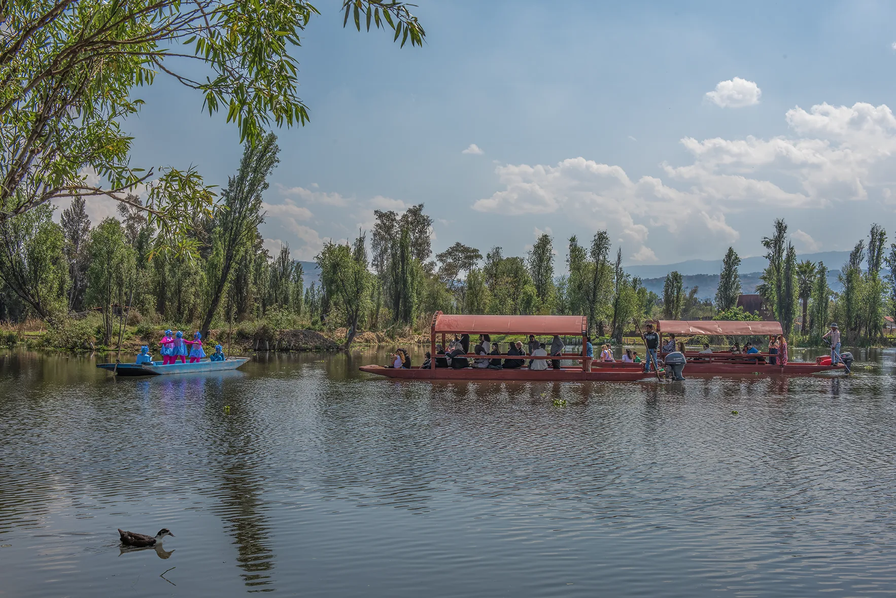 Trajineras crossing the canals of Xochimilco, Aki Aora 2025