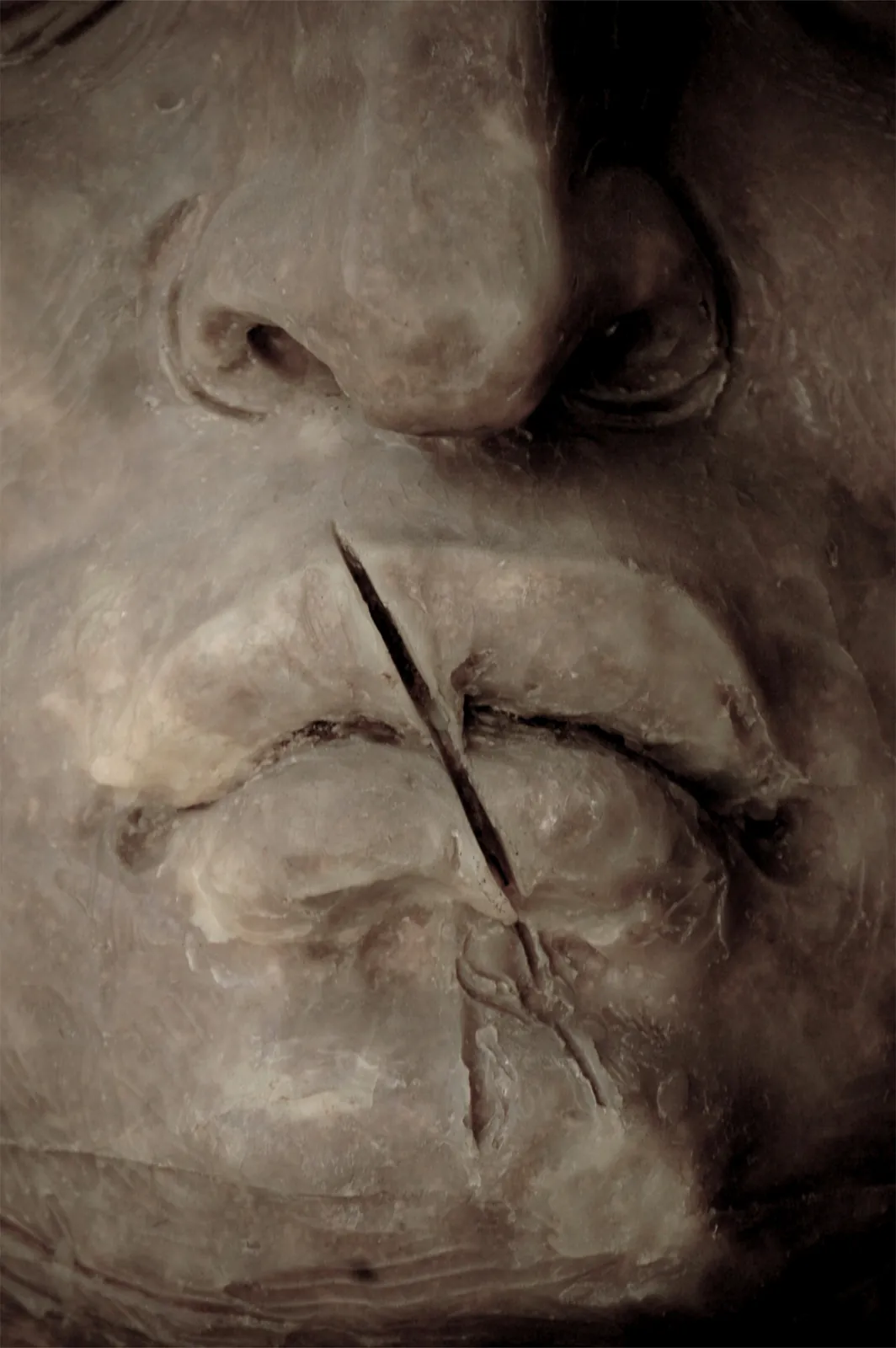 Extreme close-up of sculpted face, split lip detail