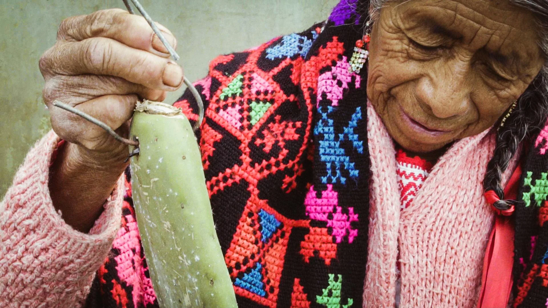 Woman embroidering in the Sierra Norte de Puebla