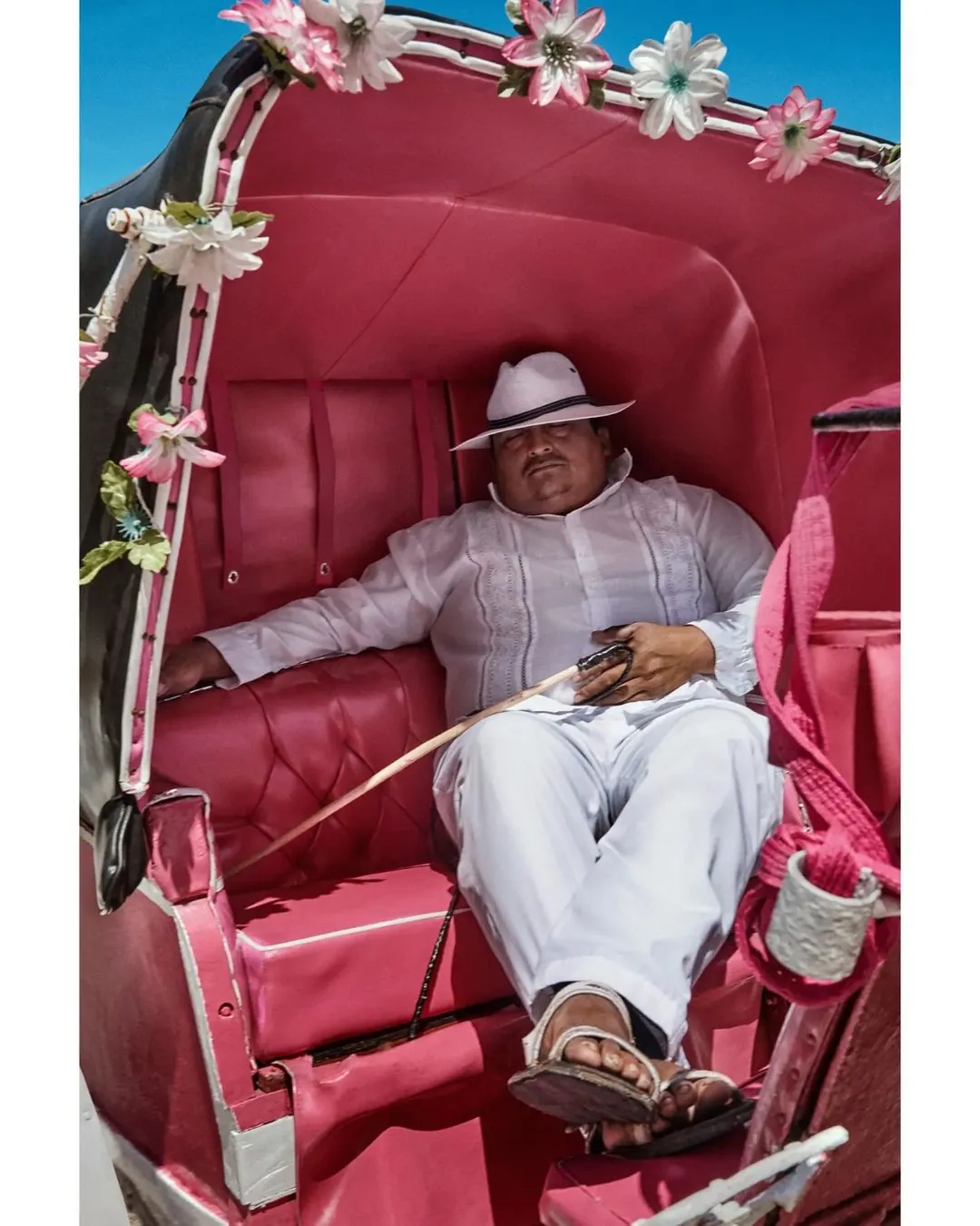 Calesero resting in a pink carriage