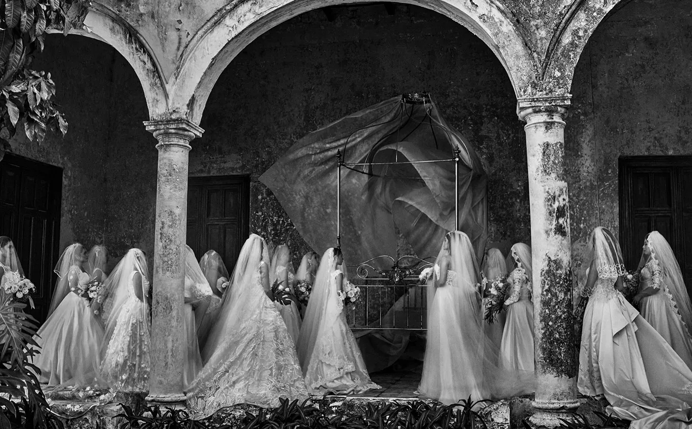 Brides in a colonial courtyard — book series